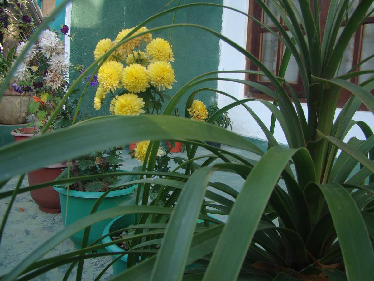 White Heart Hotel Ella Luaran gambar